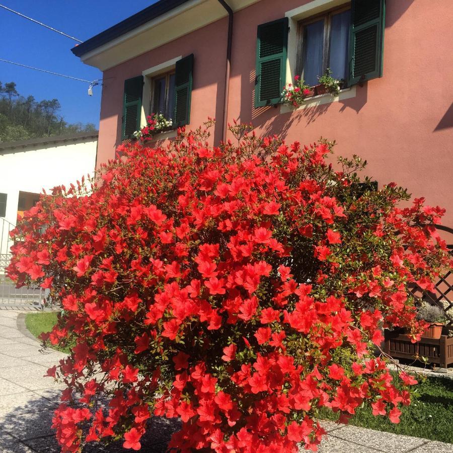 Il Ghiretto Appartamento Riccò del Golfo di Spezia Exteriör bild